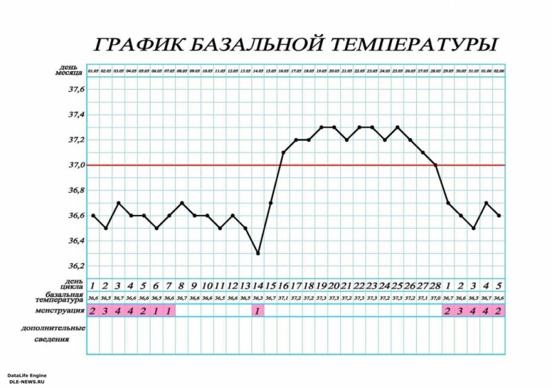 Как измерить базальную температуру для определения беременности